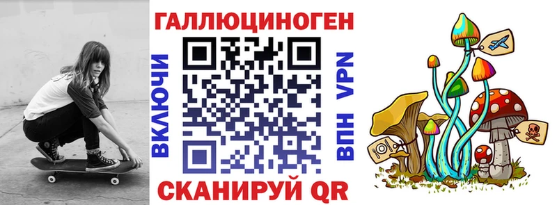 Галлюциногенные грибы Psilocybine cubensis  где купить наркоту  Краснозаводск 